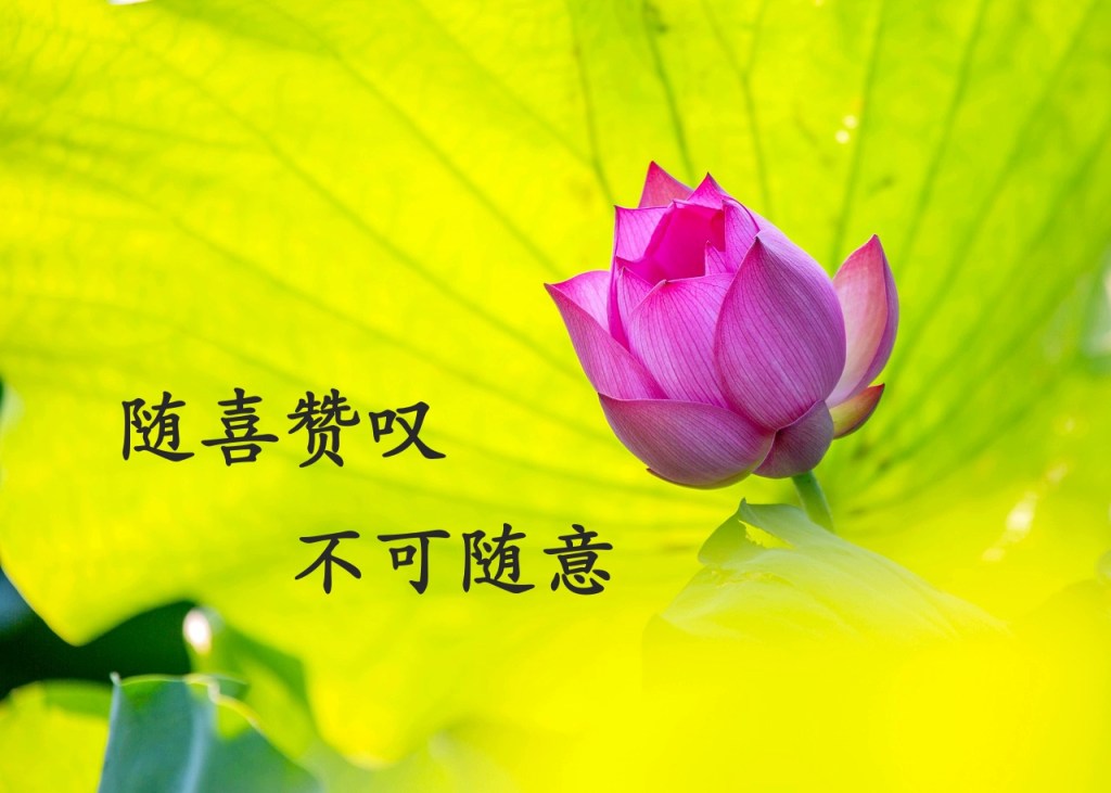 随喜赞叹不可随意