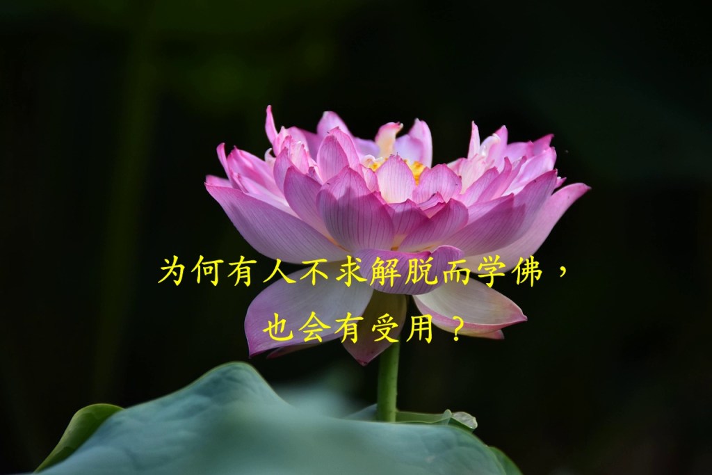 为何有人不求解脱而学佛,也会有受用? 为何有人不求解脱而学佛,也会有受用?