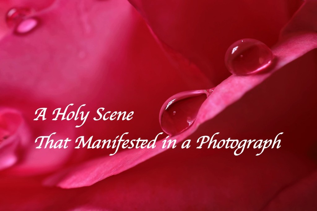 A Holy Scene That Manifested in a Photograph A Holy Scene That Manifested in a Photograph