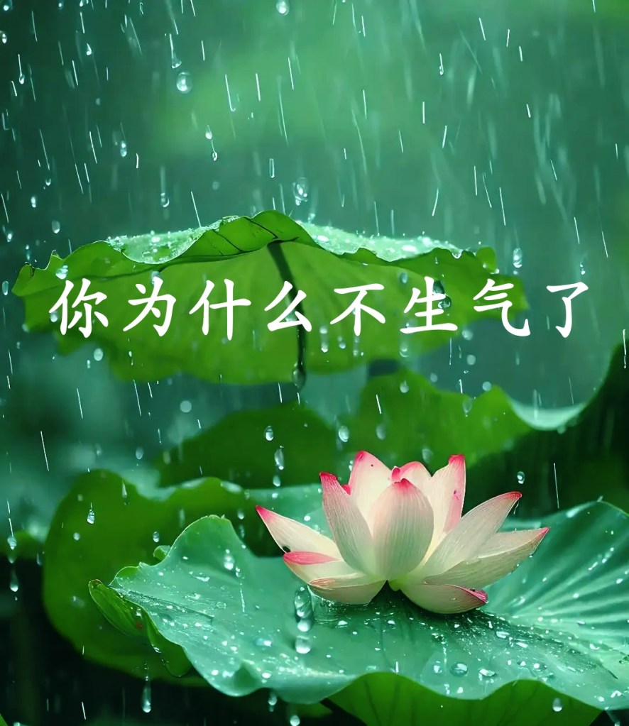 你为什么不生气了