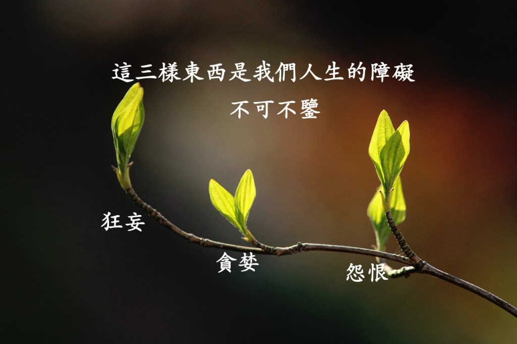 這三樣東西是我們人生的障礙，不可不鑒
