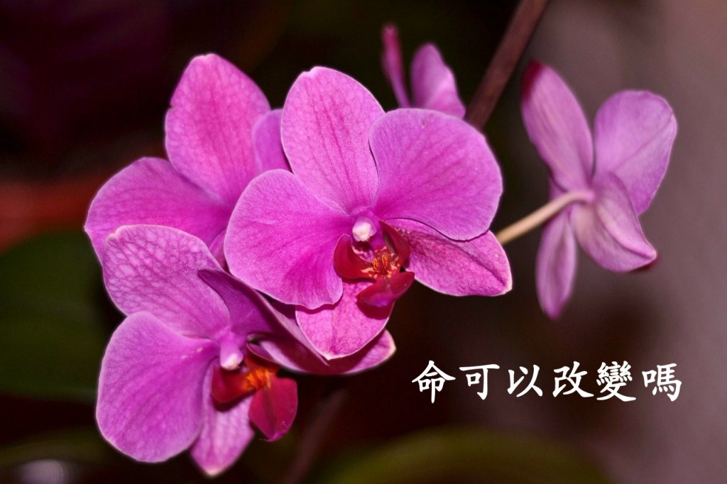 命可以改變嗎 命可以改變嗎