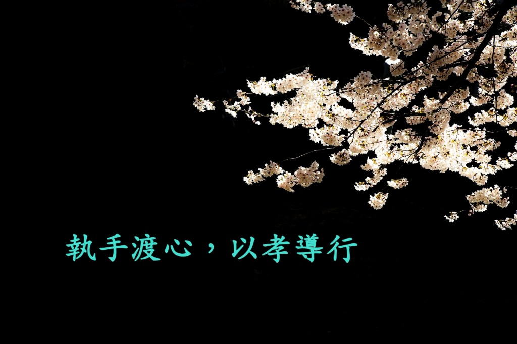 執手渡心，以孝導行