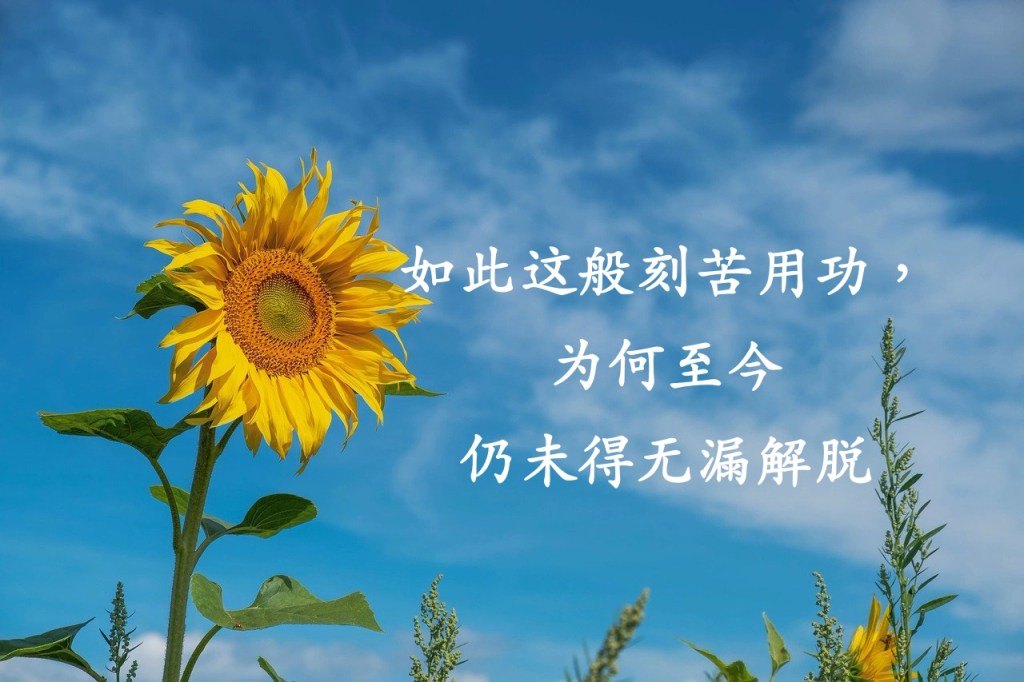 如此这般刻苦用功，为何至今仍未得无漏解脱