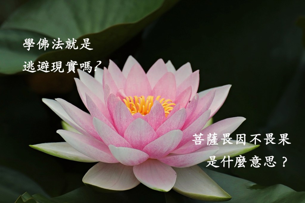 學佛法就是逃避現實嗎?菩薩畏因不畏果是什麼意思? 學佛法就是逃避現實嗎?菩薩畏因不畏果是什麼意思?