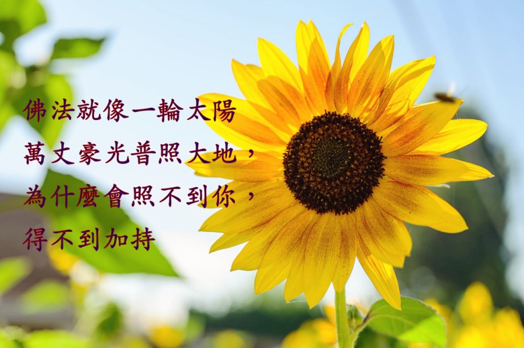 佛法就像一輪太陽萬丈豪光普照大地,為什麼會照不到你,得不到加持 佛法就像一輪太陽萬丈豪光普照大地,為什麼會照不到你,得不到加持
