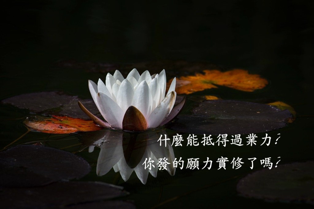 什麼能抵得過業力?你發的願力實修了嗎?