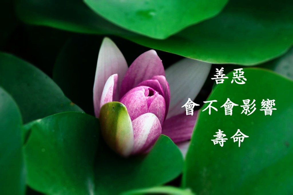 善惡會不會影響壽命