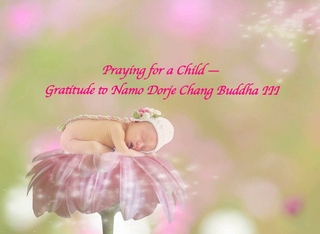 Praying for a Child — Gratitude to Namo Dorje Chang Buddha III Praying for a Child — Gratitude to Namo Dorje Chang Buddha III