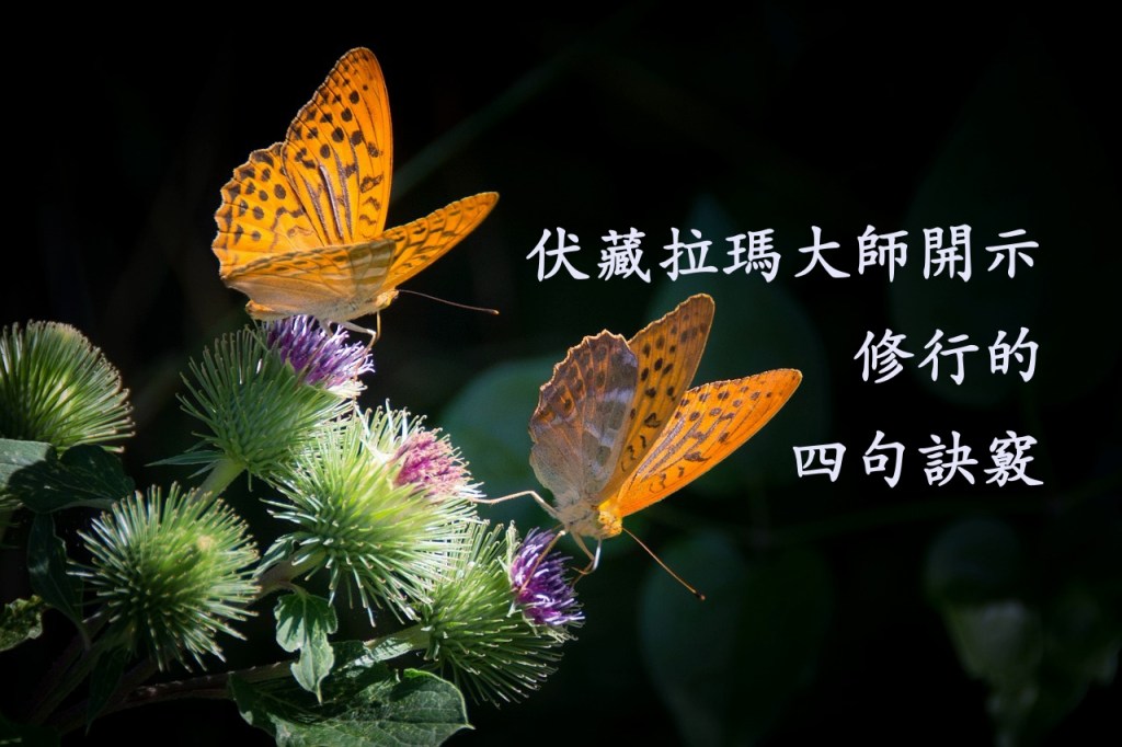 伏藏拉瑪大師開示修行的四句訣竅 伏藏拉瑪大師開示修行的四句訣竅