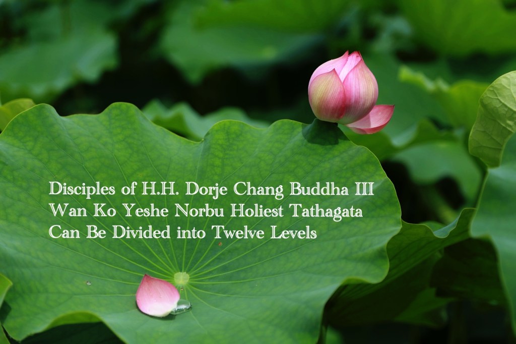 Disciples of H.H. Dorje Chang Buddha III Wan Ko Yeshe Norbu Holiest Tathagata Can Be Divided into Twelve Levels