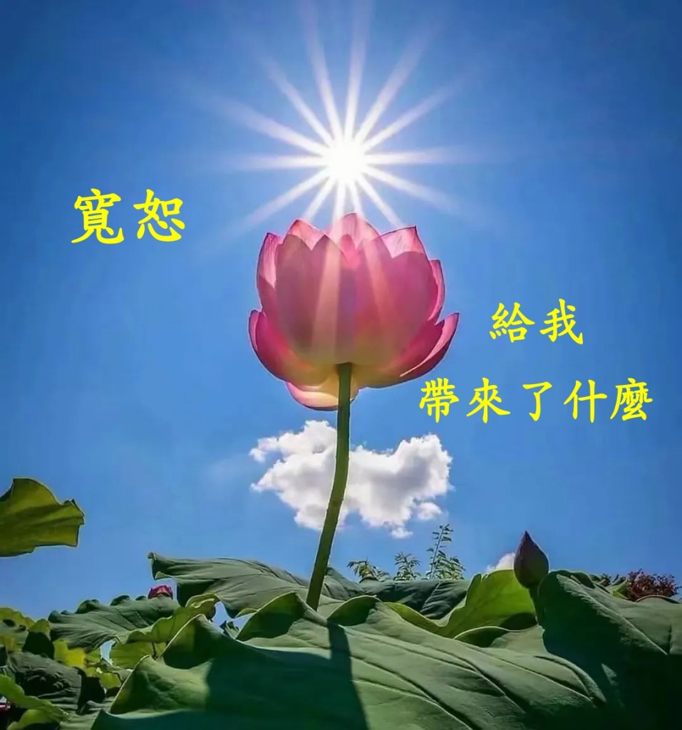 寬恕給我帶來了什麼