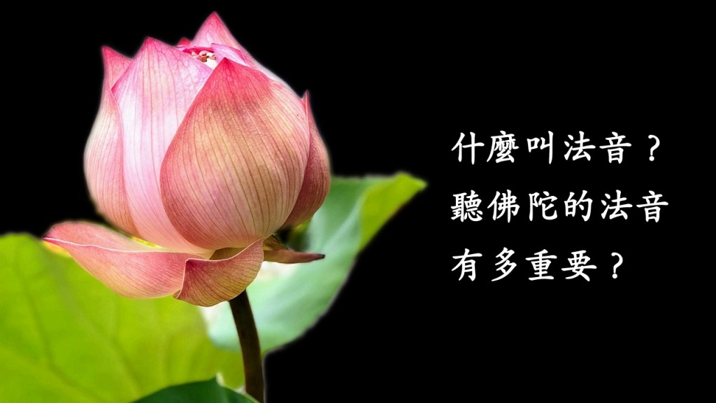 什麼叫法音？聽佛陀的法音有多重要？