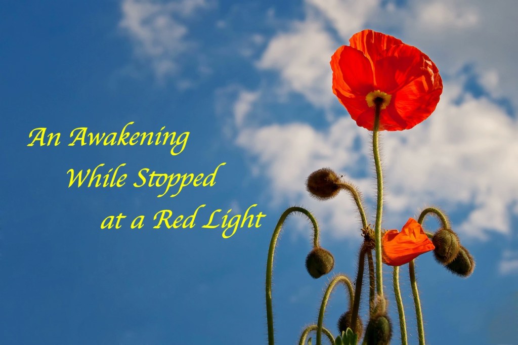 An Awakening While Stopped at a Red Light