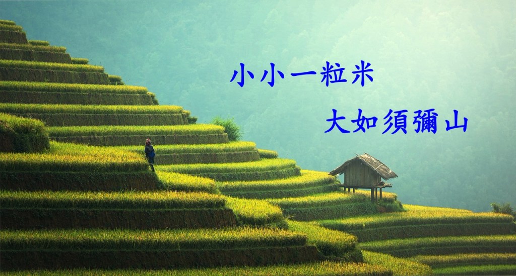 小小一粒米大如須彌山