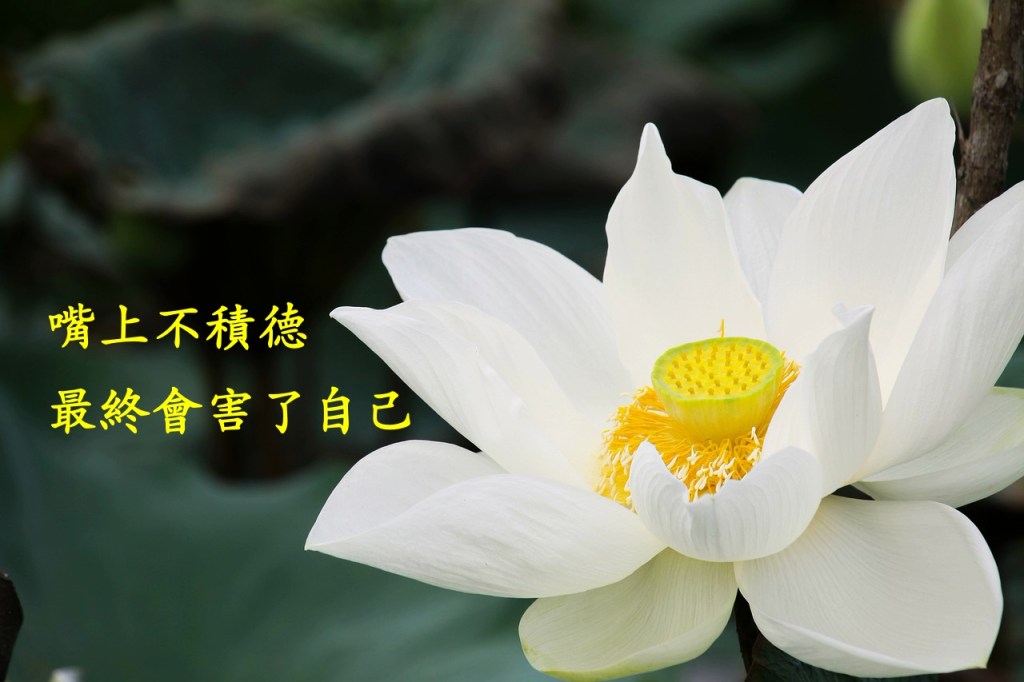 嘴上不積德，最終會害了自己