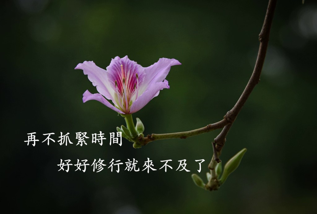 再不抓緊時間好好修行就來不及了