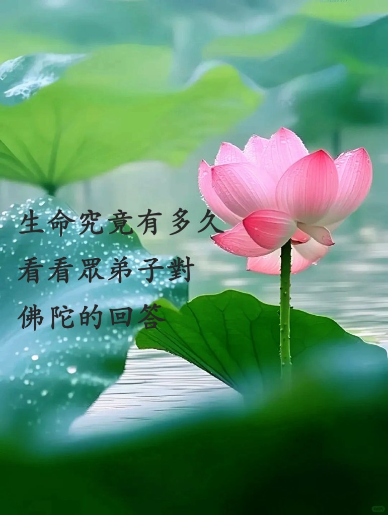 生命究竟有多久?看看眾弟子對佛陀的回答 生命究竟有多久?看看眾弟子對佛陀的回答