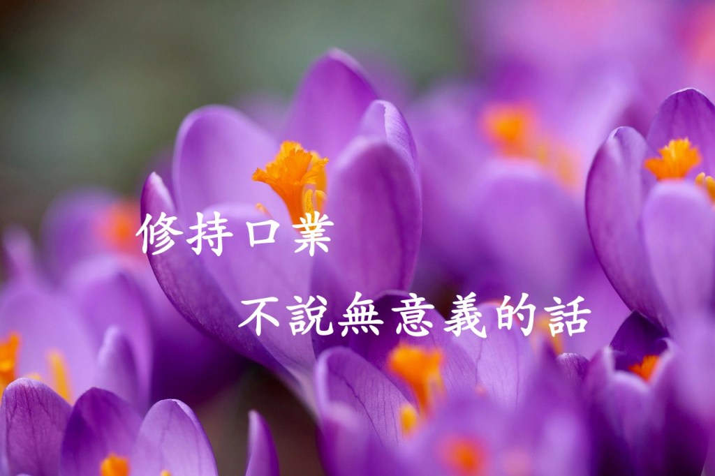 修持口業,不說無意義的話 修持口業,不說無意義的話