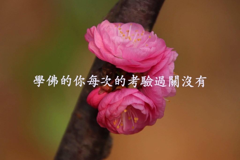 學佛的你每次的考驗過關沒有 學佛的你每次的考驗過關沒有
