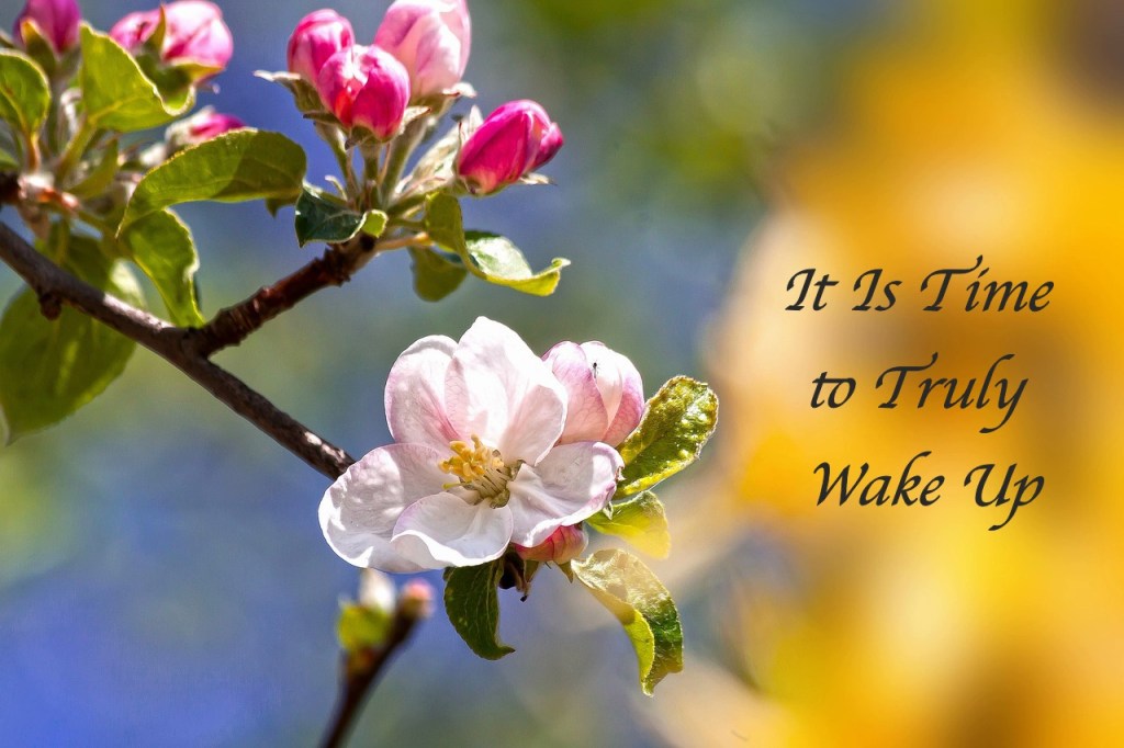 It Is Time to Truly Wake Up