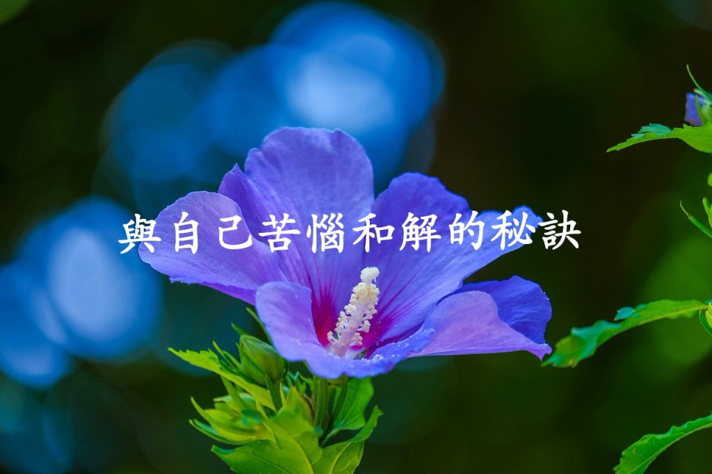 與自己苦惱和解的秘訣