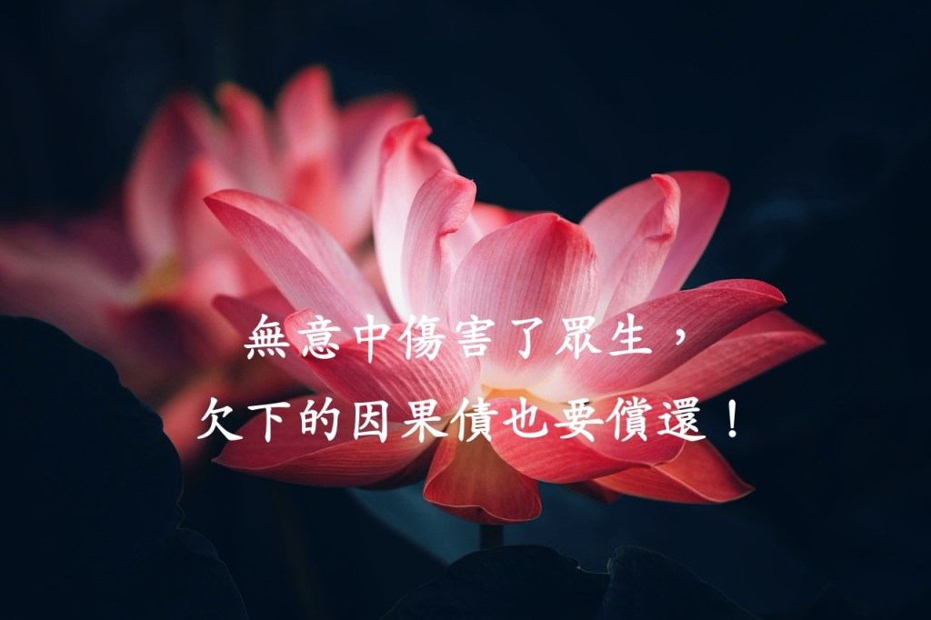 無意中傷害了眾生，欠下的因果債也要償還！