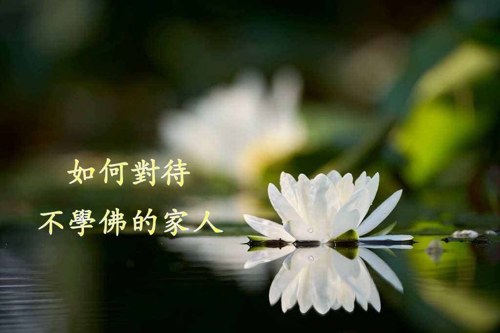 如何對待不學佛的家人